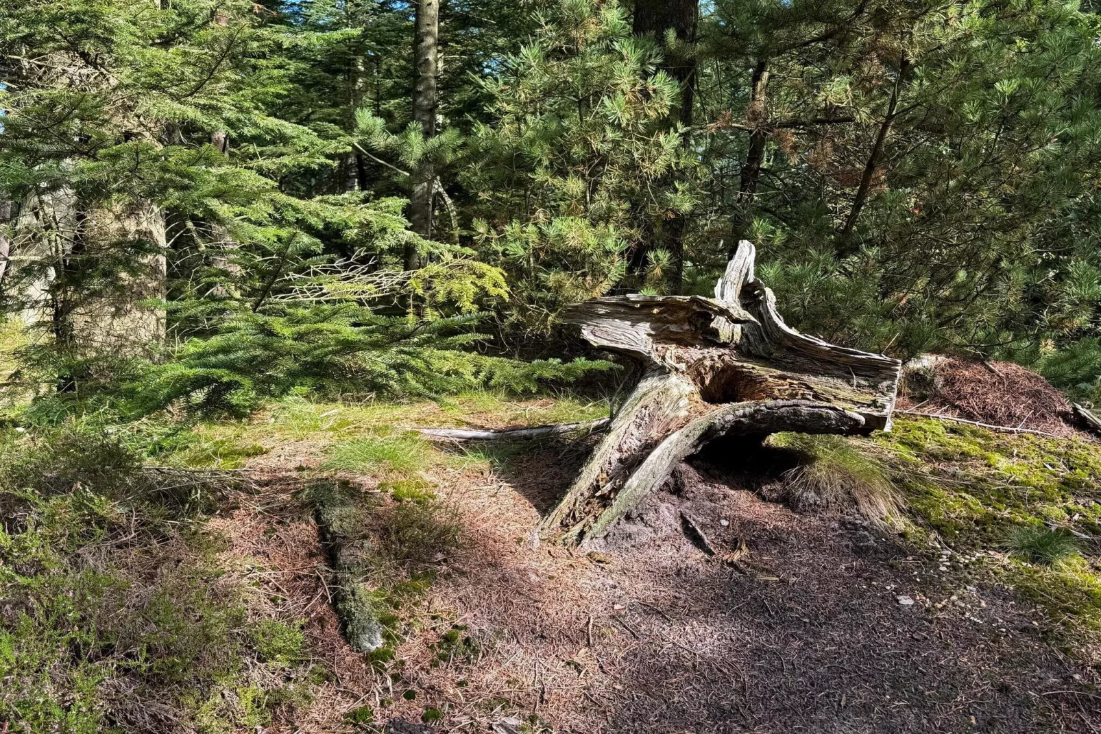 6 persoons vakantie huis in Henne-Niet-getagd