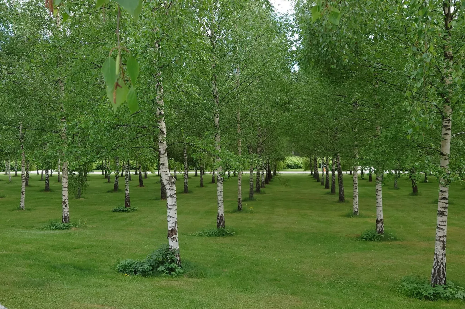 4 sterren vakantie huis in ENSKEDE-By Traum-Niet-getagd