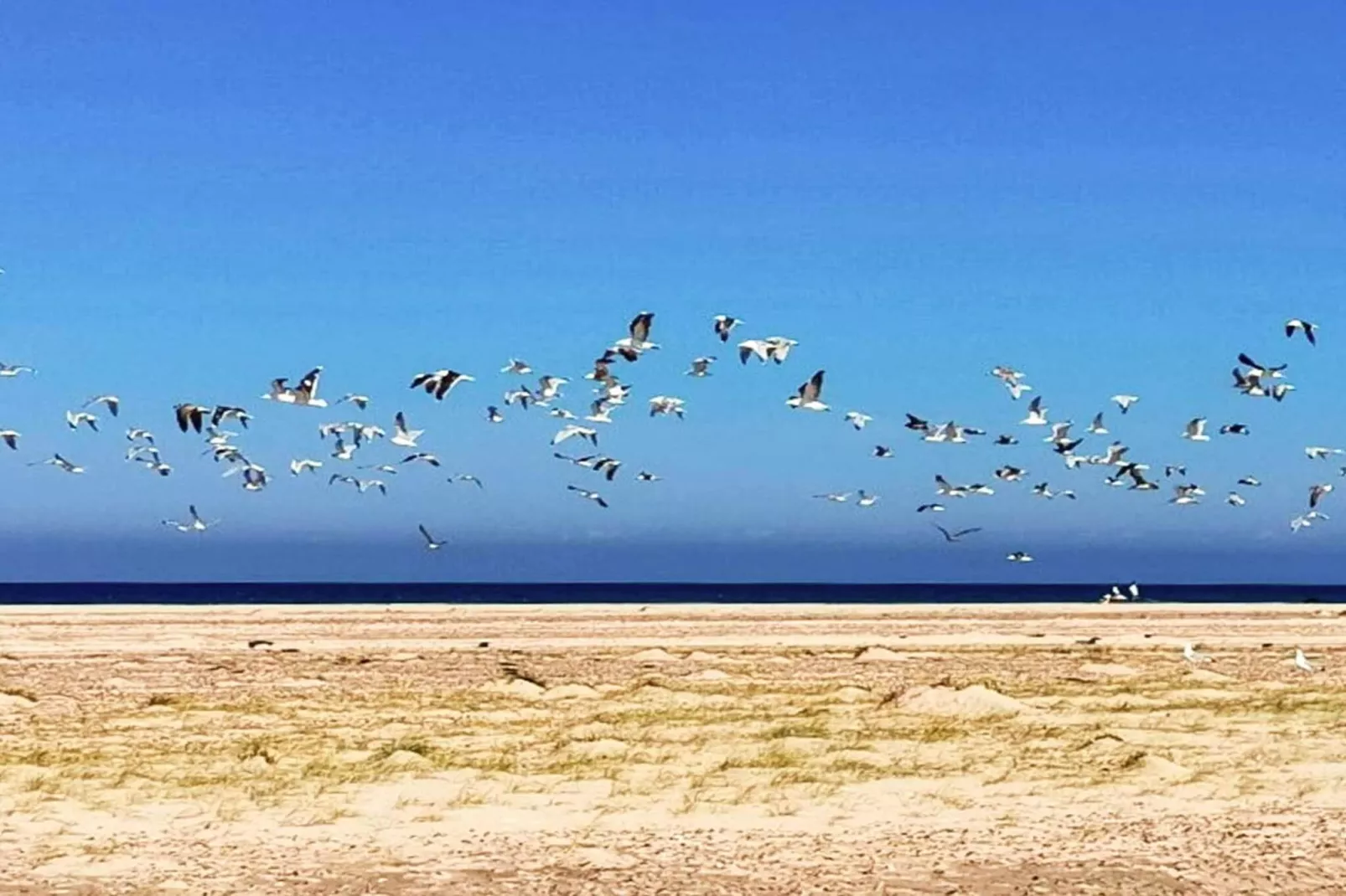 5 sterren vakantie huis in Skagen-By Traum-Niet-getagd