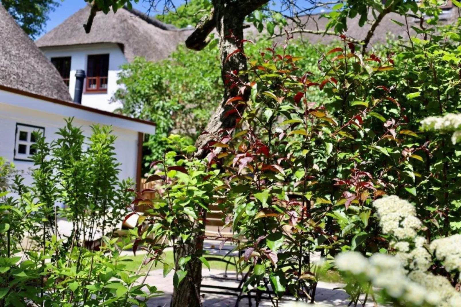 Kapteins Hüüs - ganzes Haus-Woonkamer