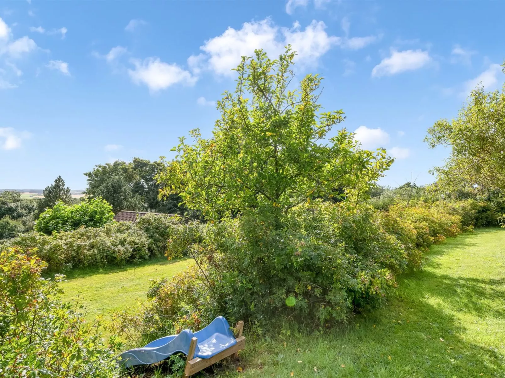 "Dimo" - 300m to the fjord-Buiten