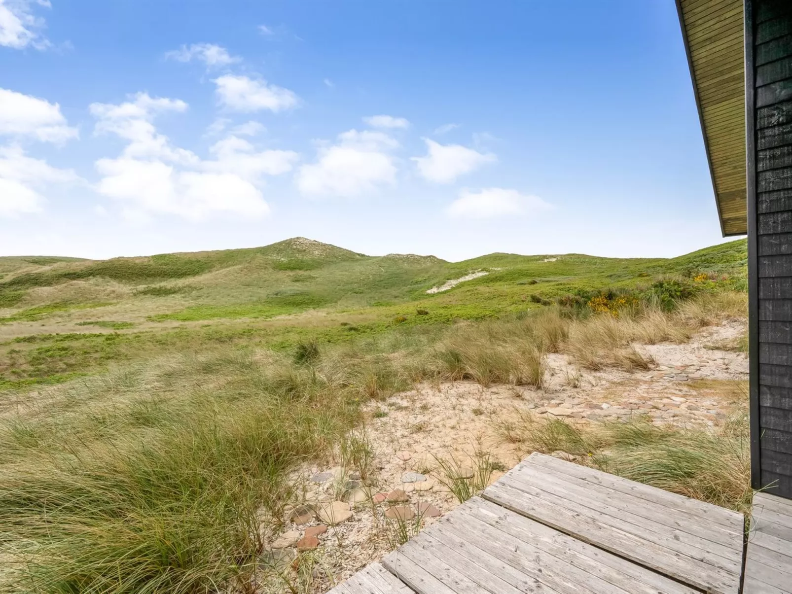 "Apolina" -  from the sea-Buiten