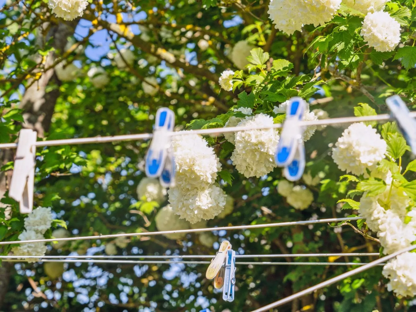 "Benthe" - 200m from the sea-Buiten