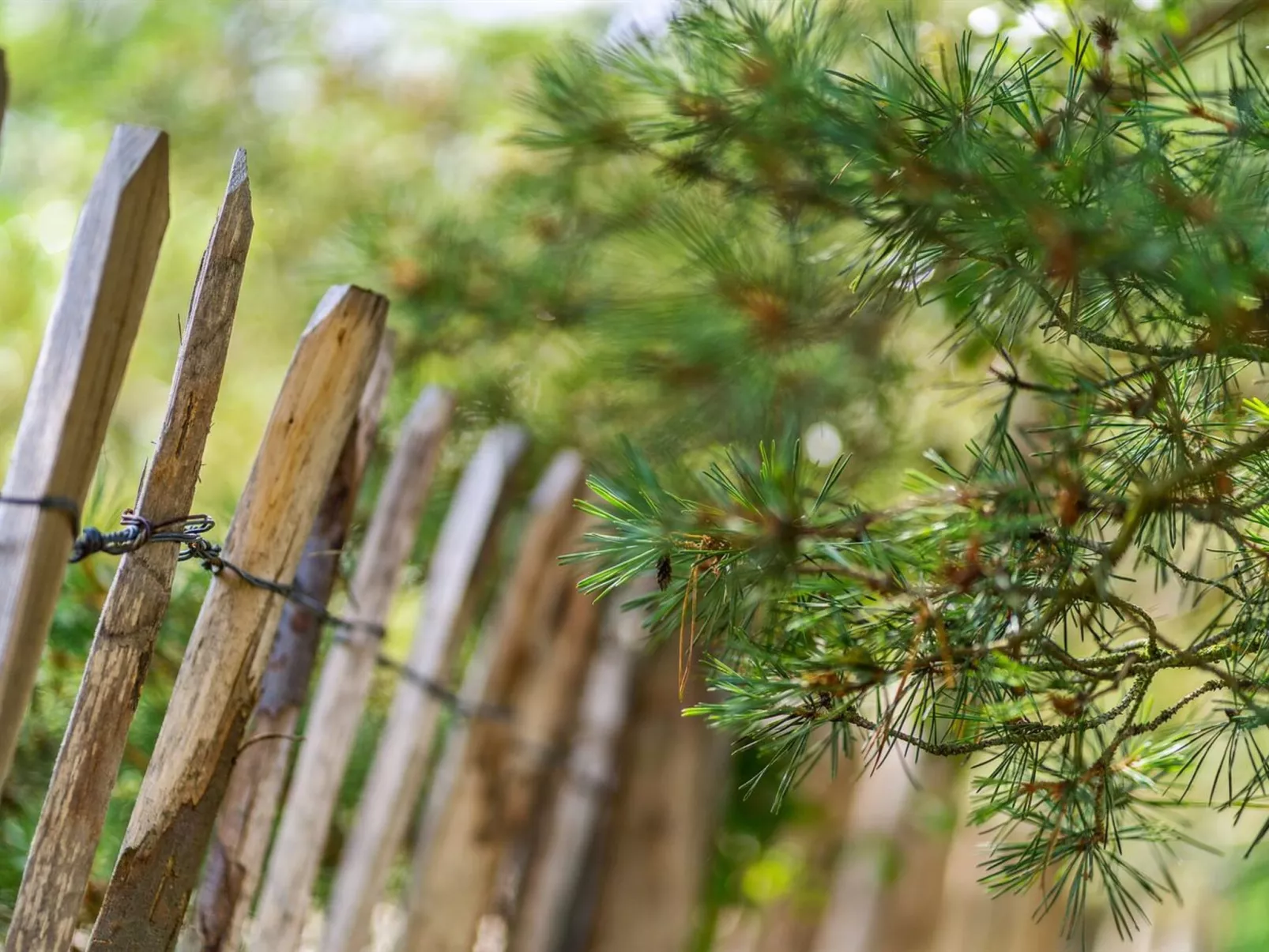 "Etel" - 600m from the sea-Buiten