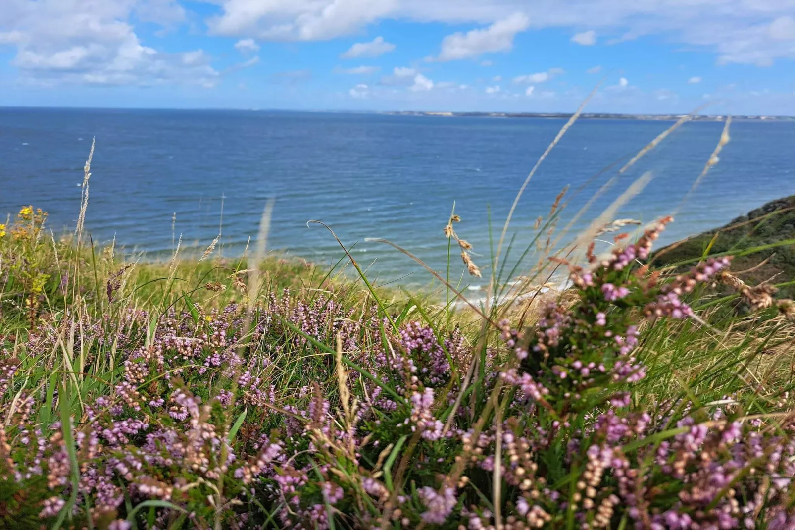 6 persoons vakantie huis in Struer-By Traum