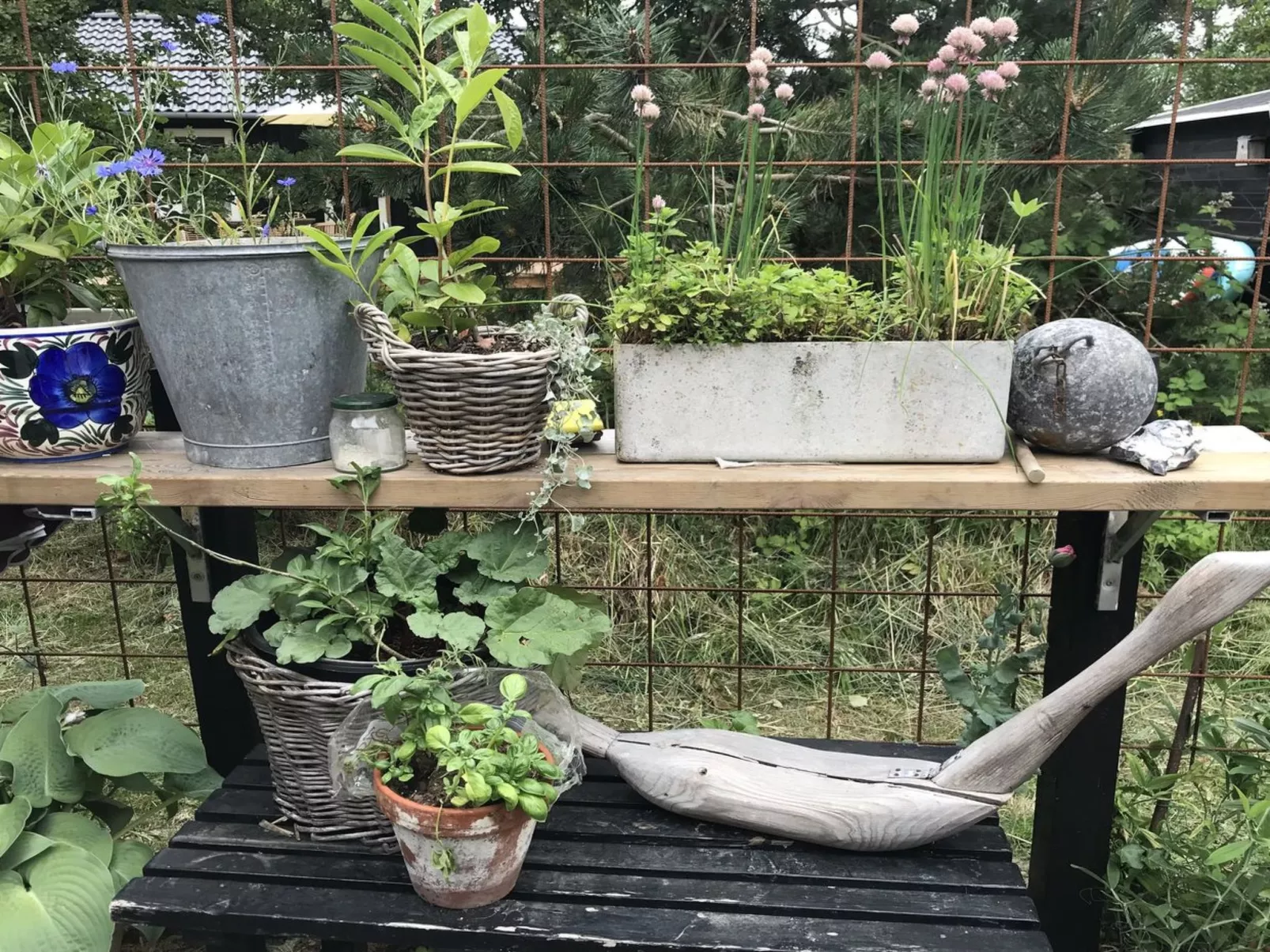 "Elisa" - 600m from the sea-Buiten