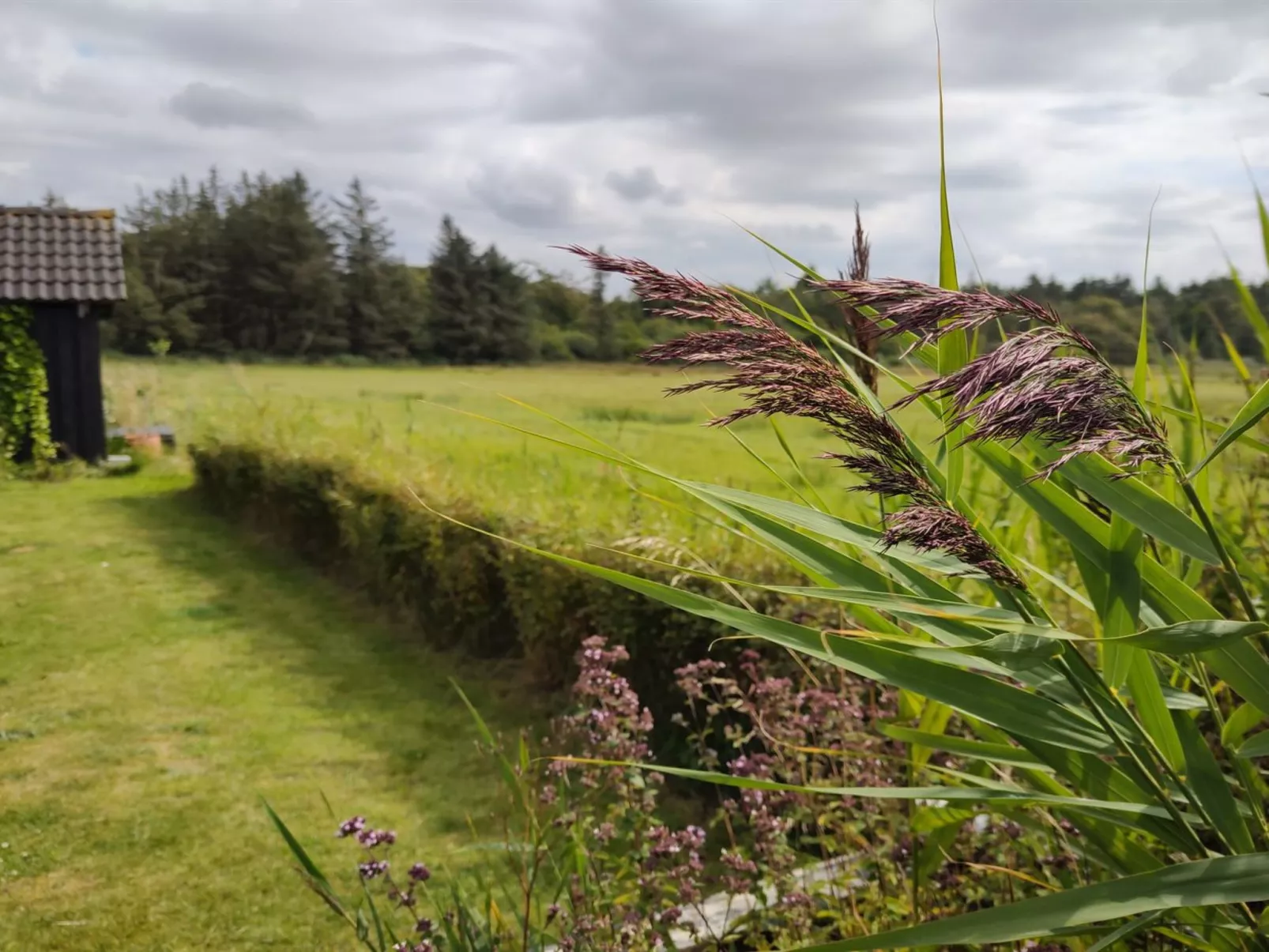 "Cillvur" - 8km from the sea-Buiten