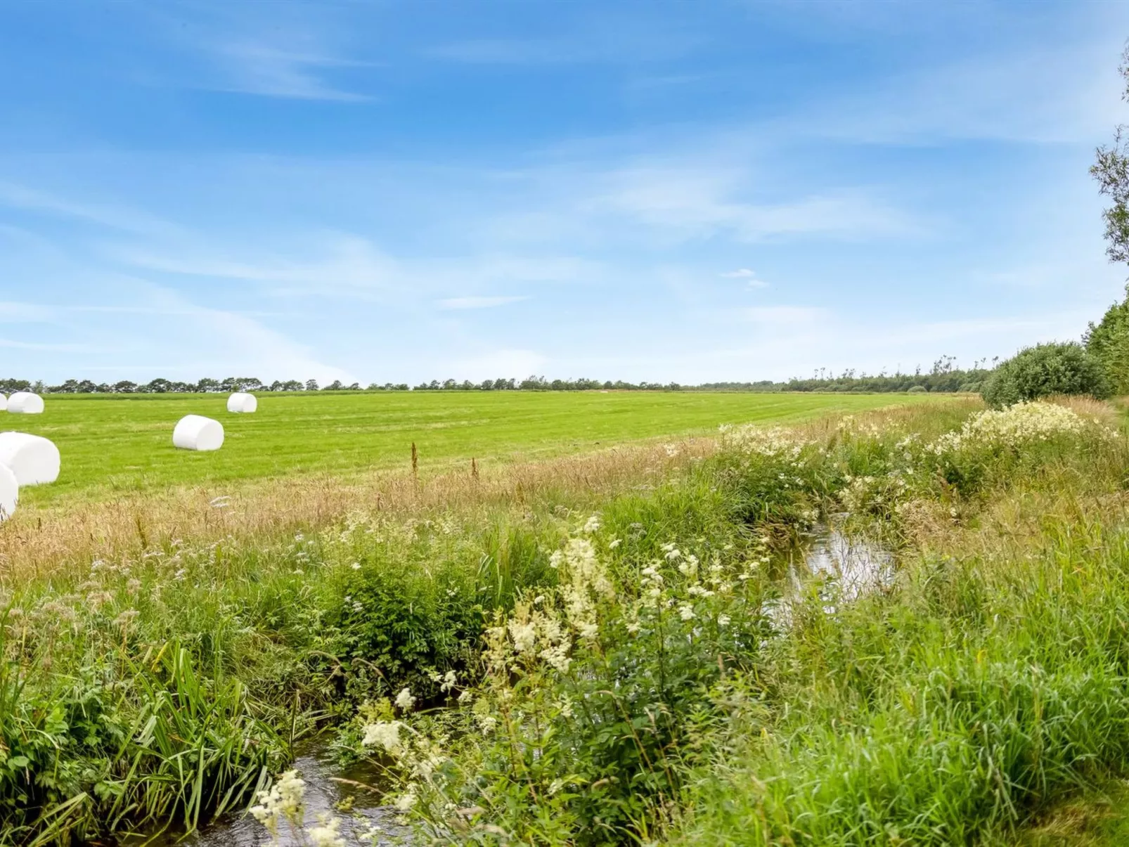 "Saran" - 30km from the sea-Buiten