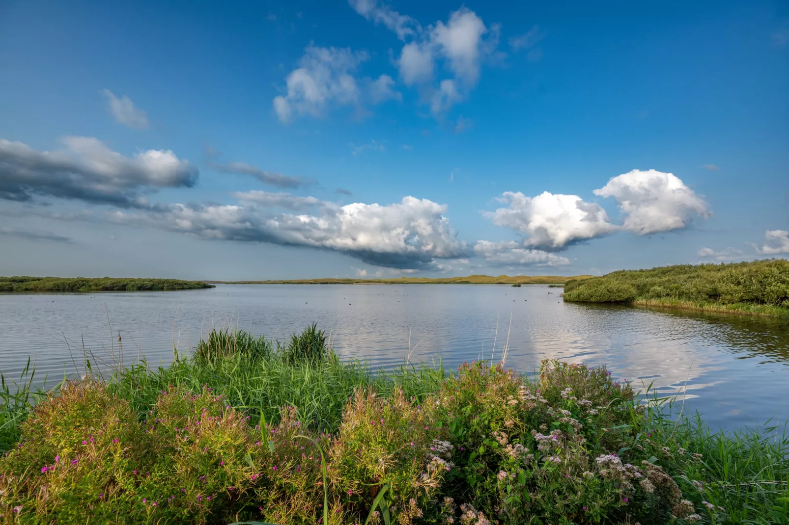 Tipitent de Jutter-Gebieden zomer 5km