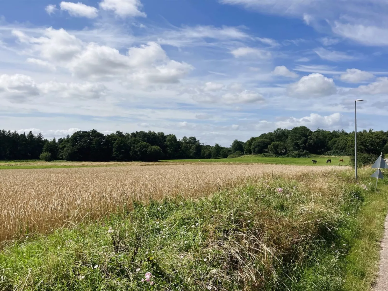 "Thessa" - 4km from the sea-Buiten