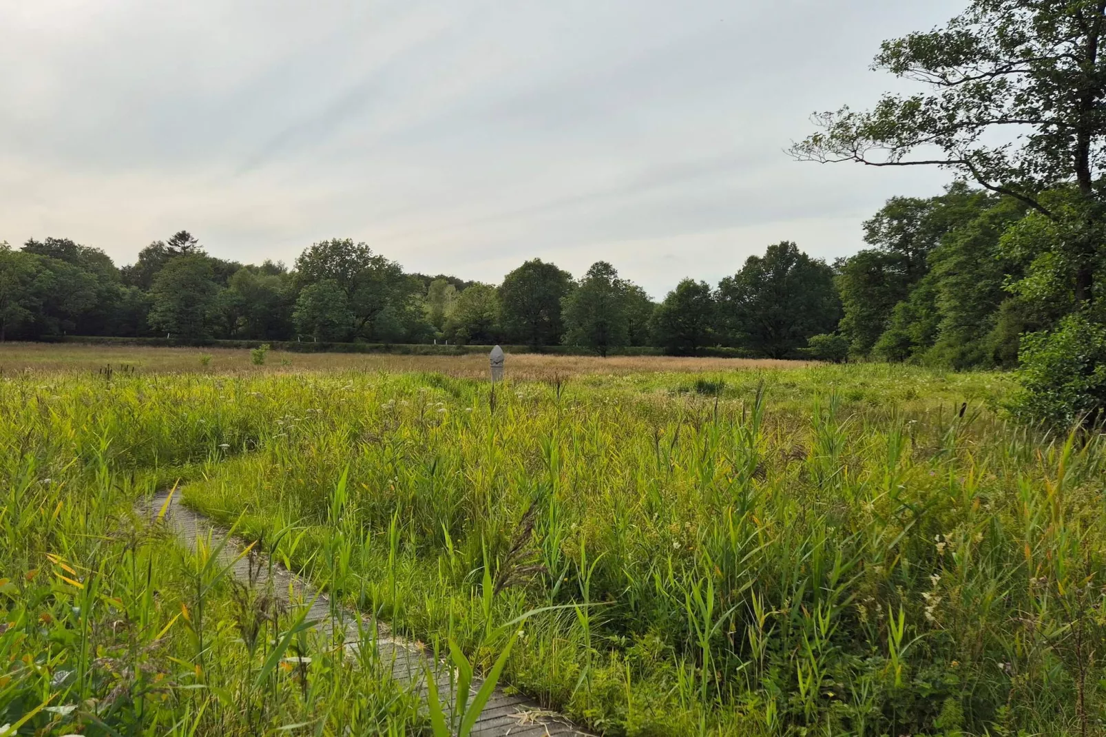 4 sterren vakantie huis in Hovborg-By Traum-Niet-getagd