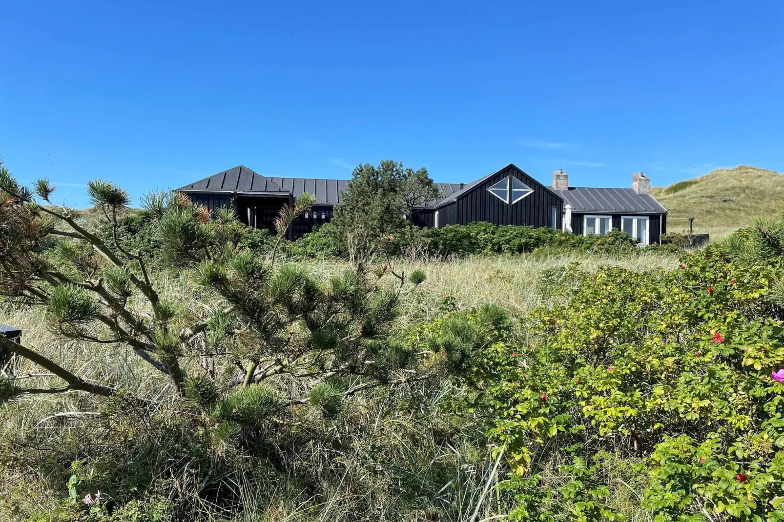 6 persoons vakantie huis in Henne-Buitenlucht