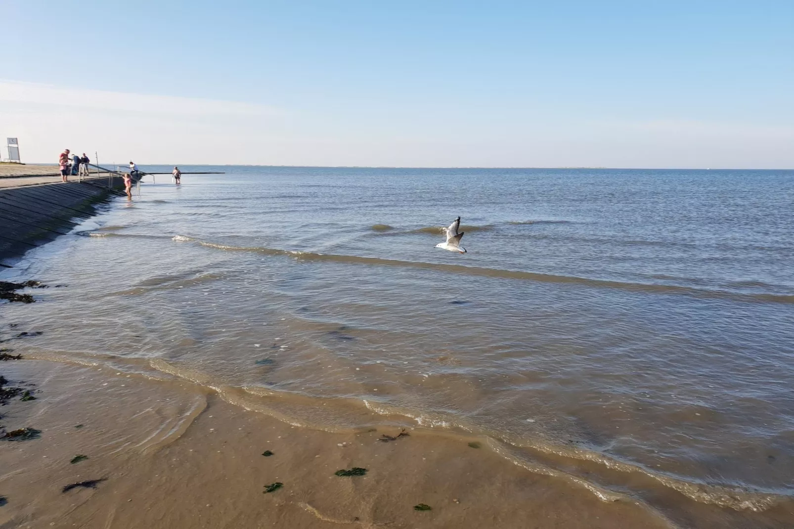 Doppelhaushälfte Nordseerose 125-Gebieden zomer 5km