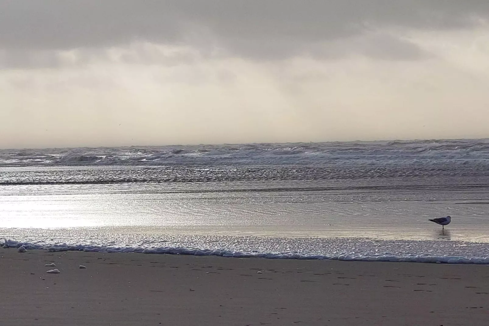 5 sterren vakantie huis in Vejers Strand-Waterzicht