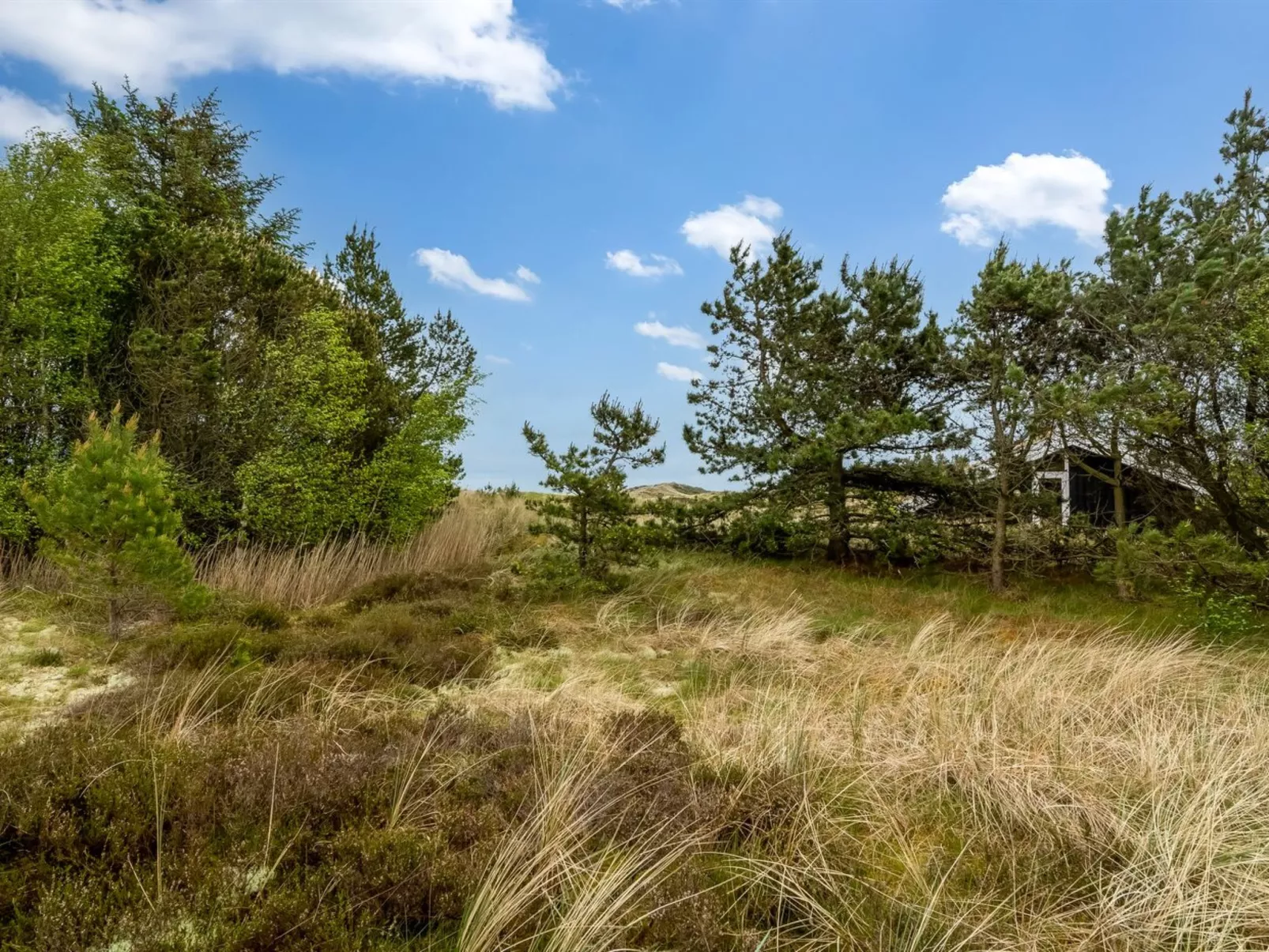 "Kimi" - 75m from the sea-Buiten