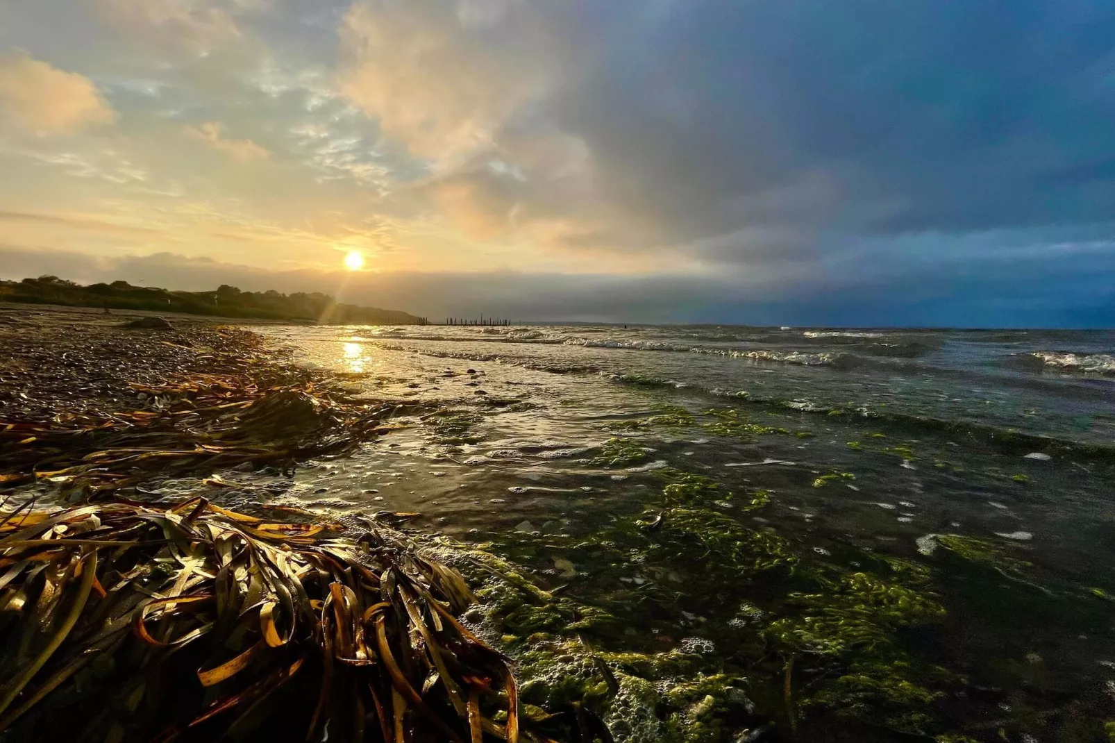 8 Personen vakantie huis in Roslev-Waterzicht
