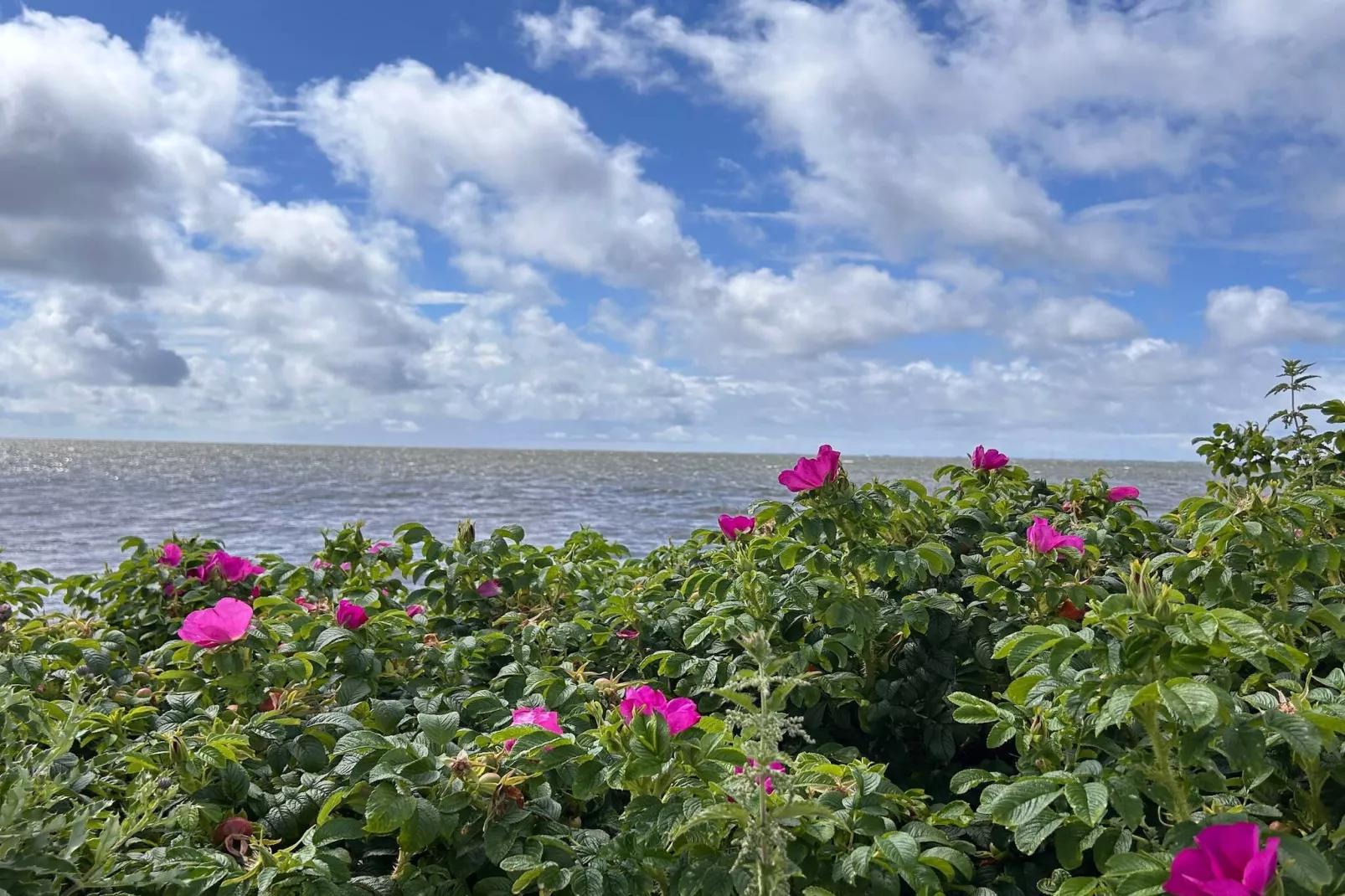 Charmant toevluchtsoord in Ringkobing-Waterzicht