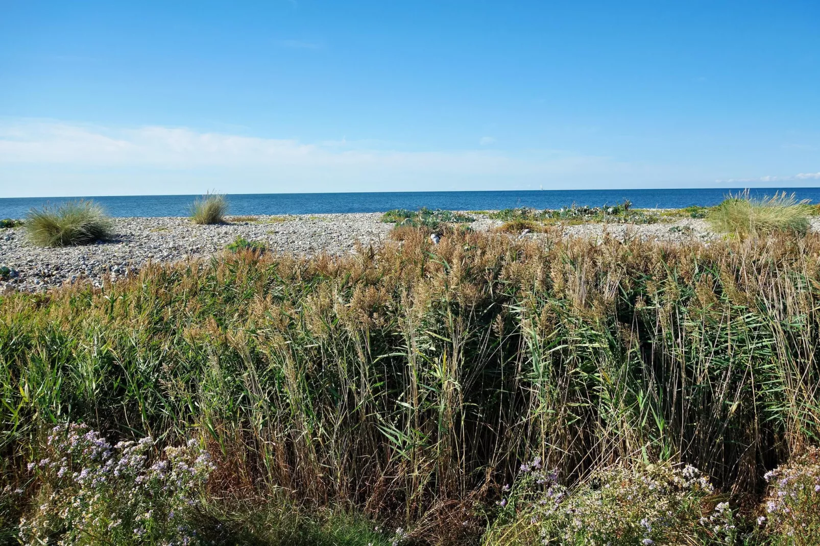Kiebitzweg 1b EG Strandhüpfer-Gebieden zomer 20km