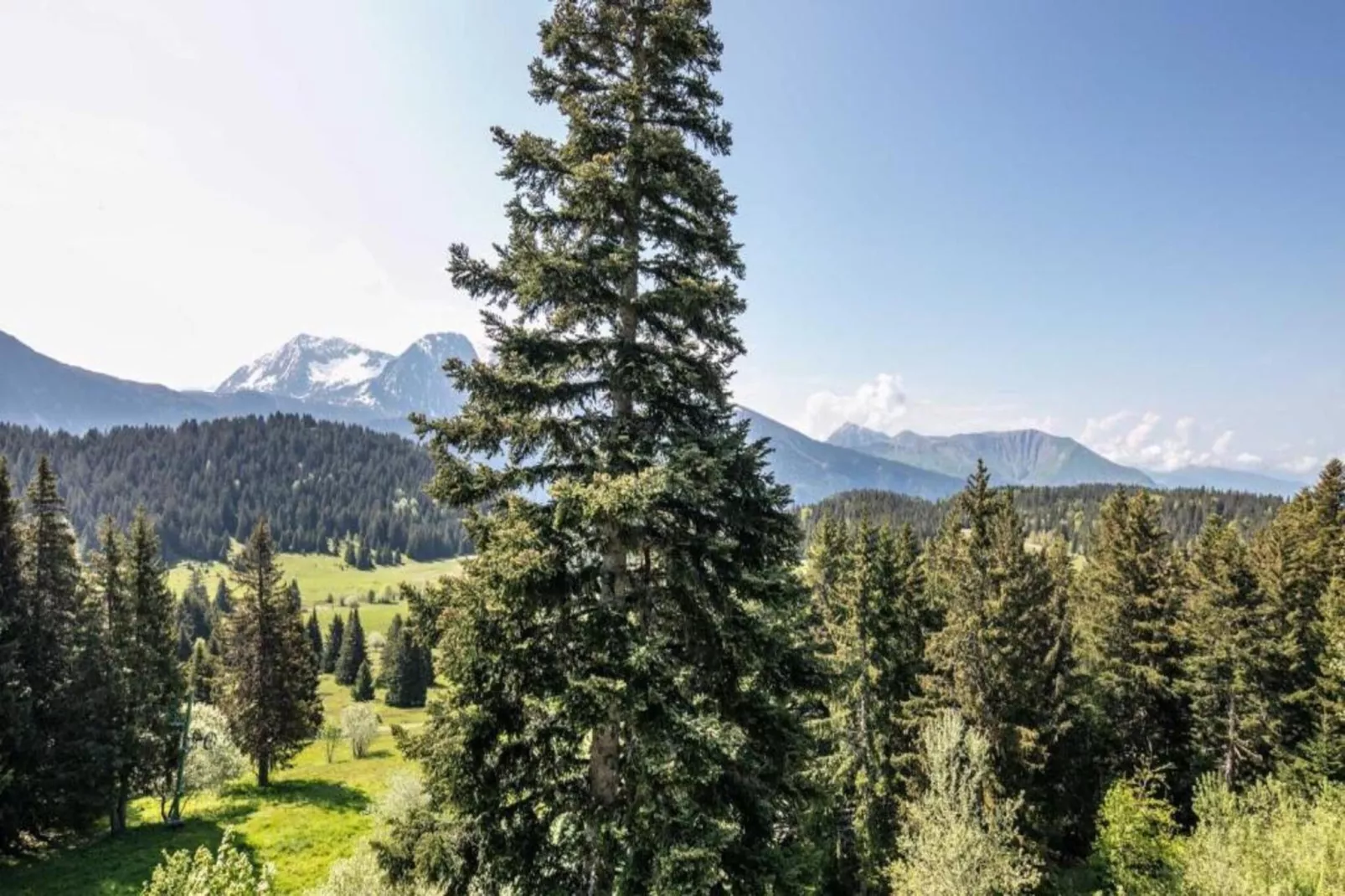 LE VERNON N°1222 - ST4-Gebieden zomer 5km