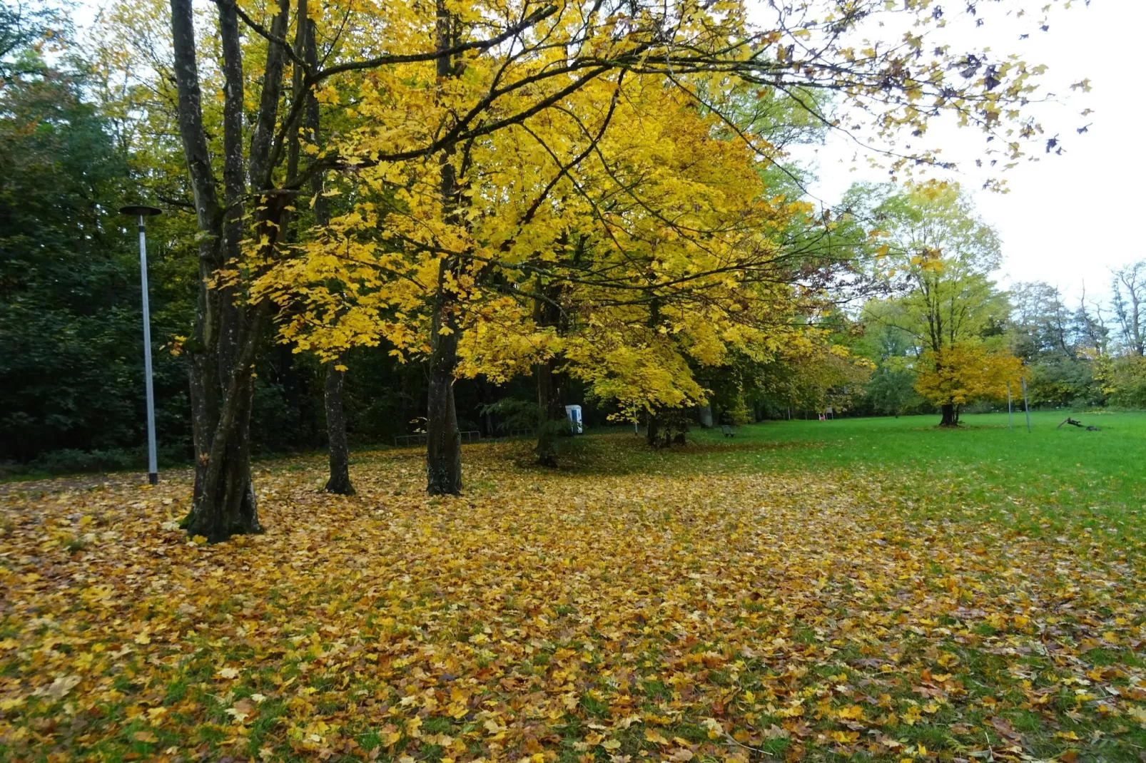 Luxus-Familienappartement / 6 Personen-Gebieden zomer 5km