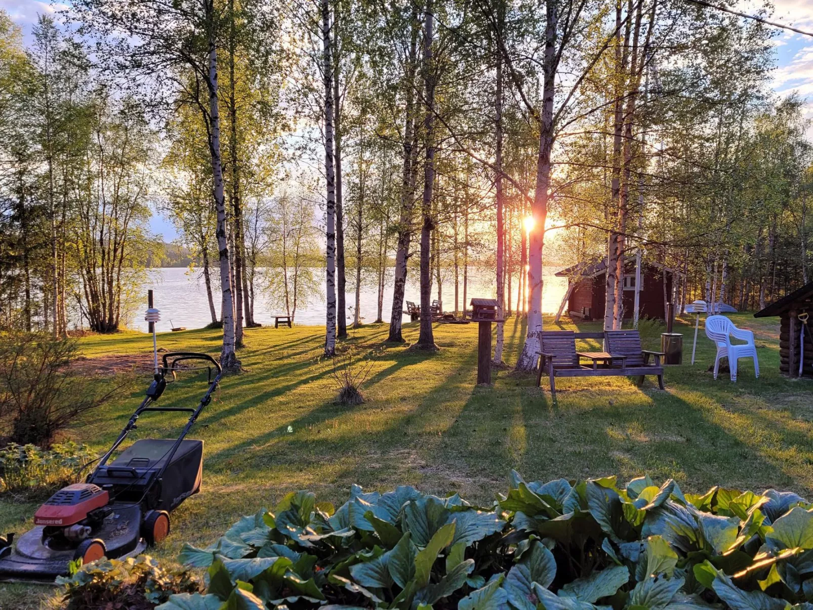 Koivulahden reinola-Binnen