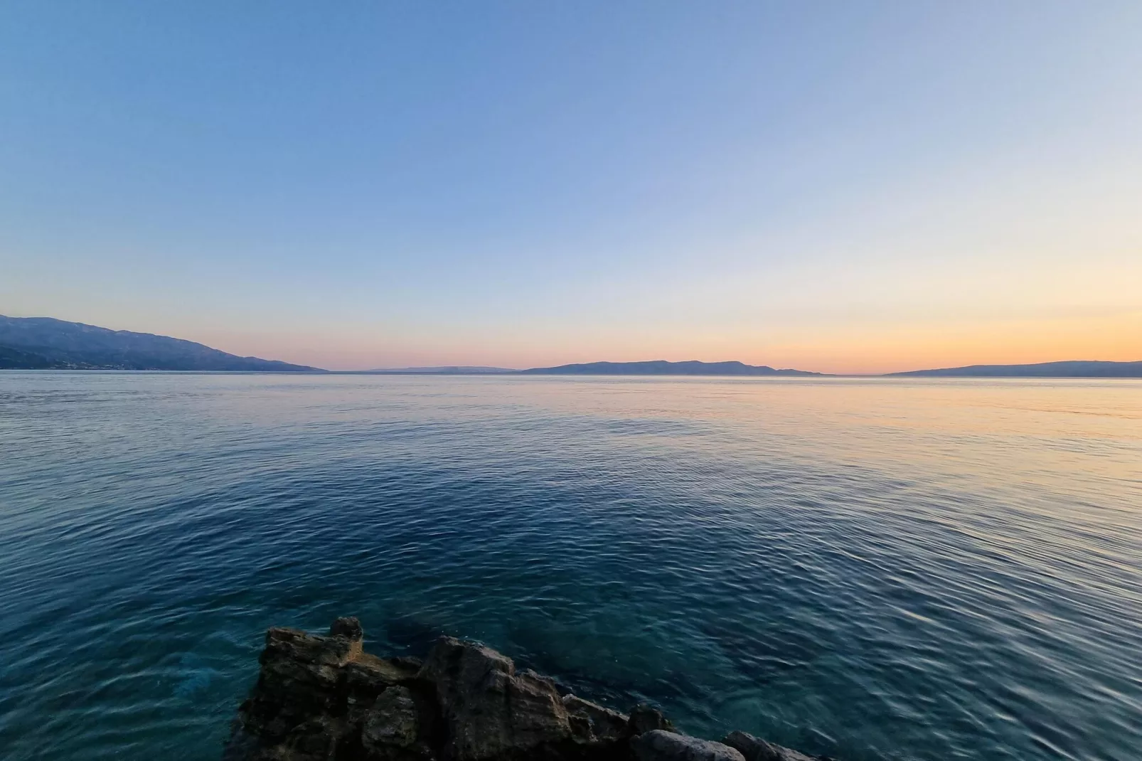 Niko 1-Gebieden zomer 1km