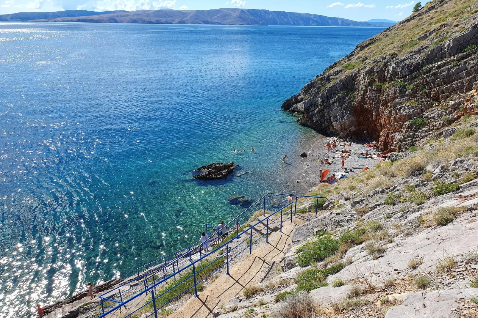 Niko 3-Gebieden zomer 1km