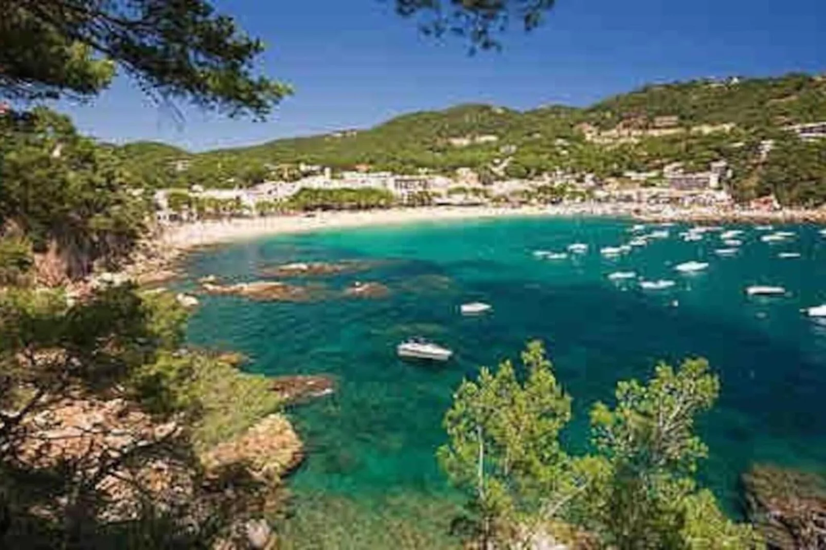 Pastora 2-Gebieden zomer 20km