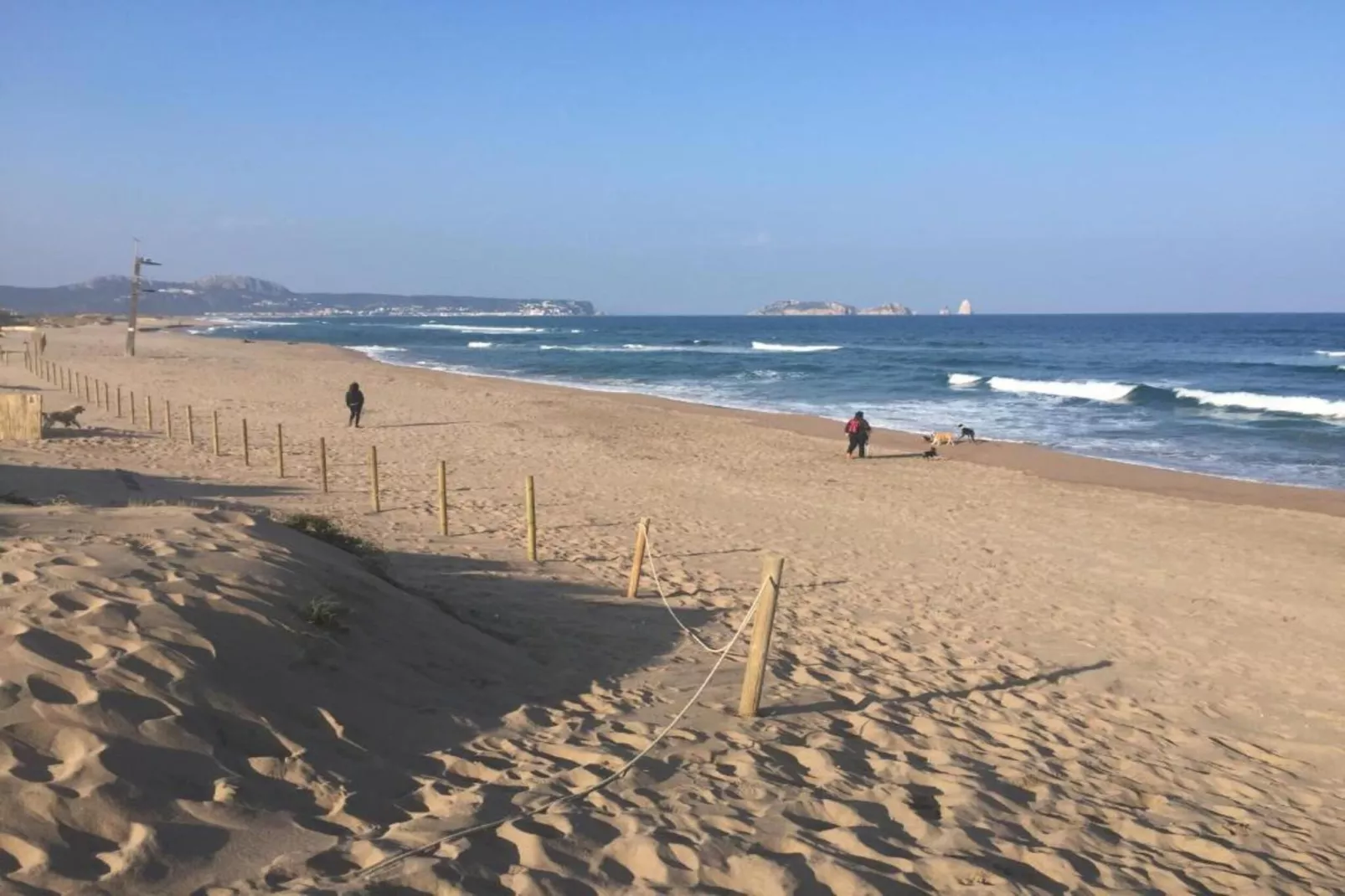 Medas 17-Gebieden zomer 5km