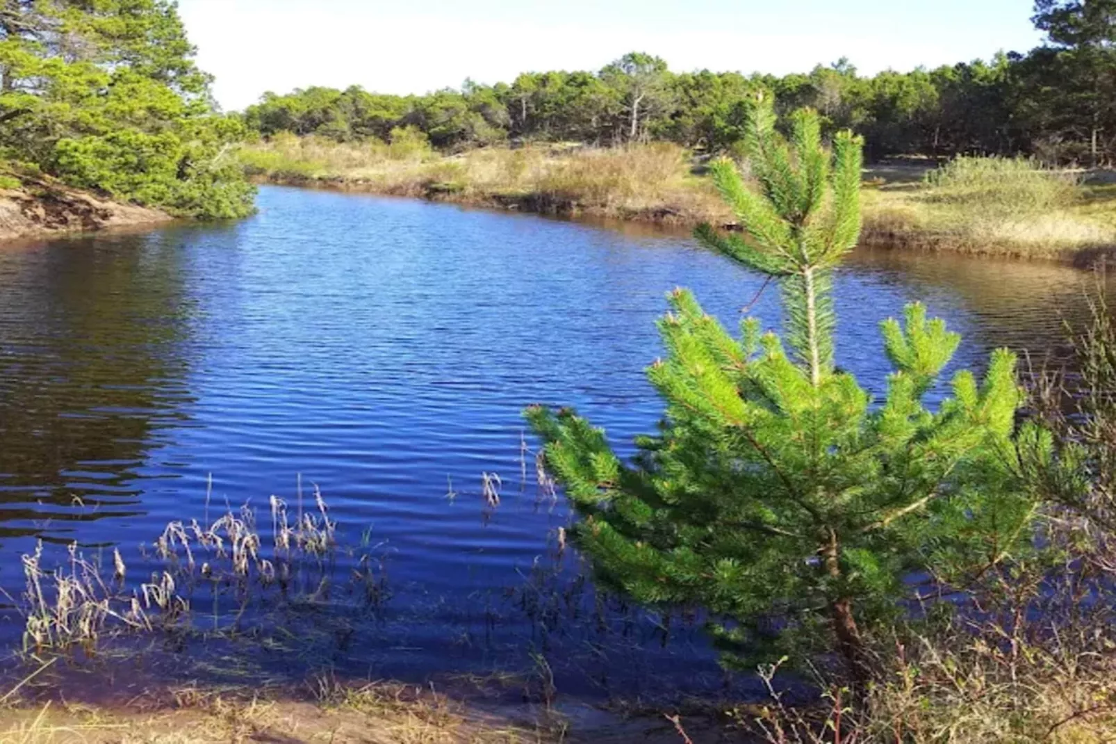 4 sterren vakantie huis in Ålbæk-Waterzicht