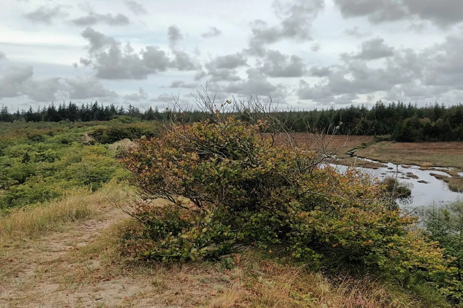 5 Personen vakantie huis in Snedsted-Waterzicht