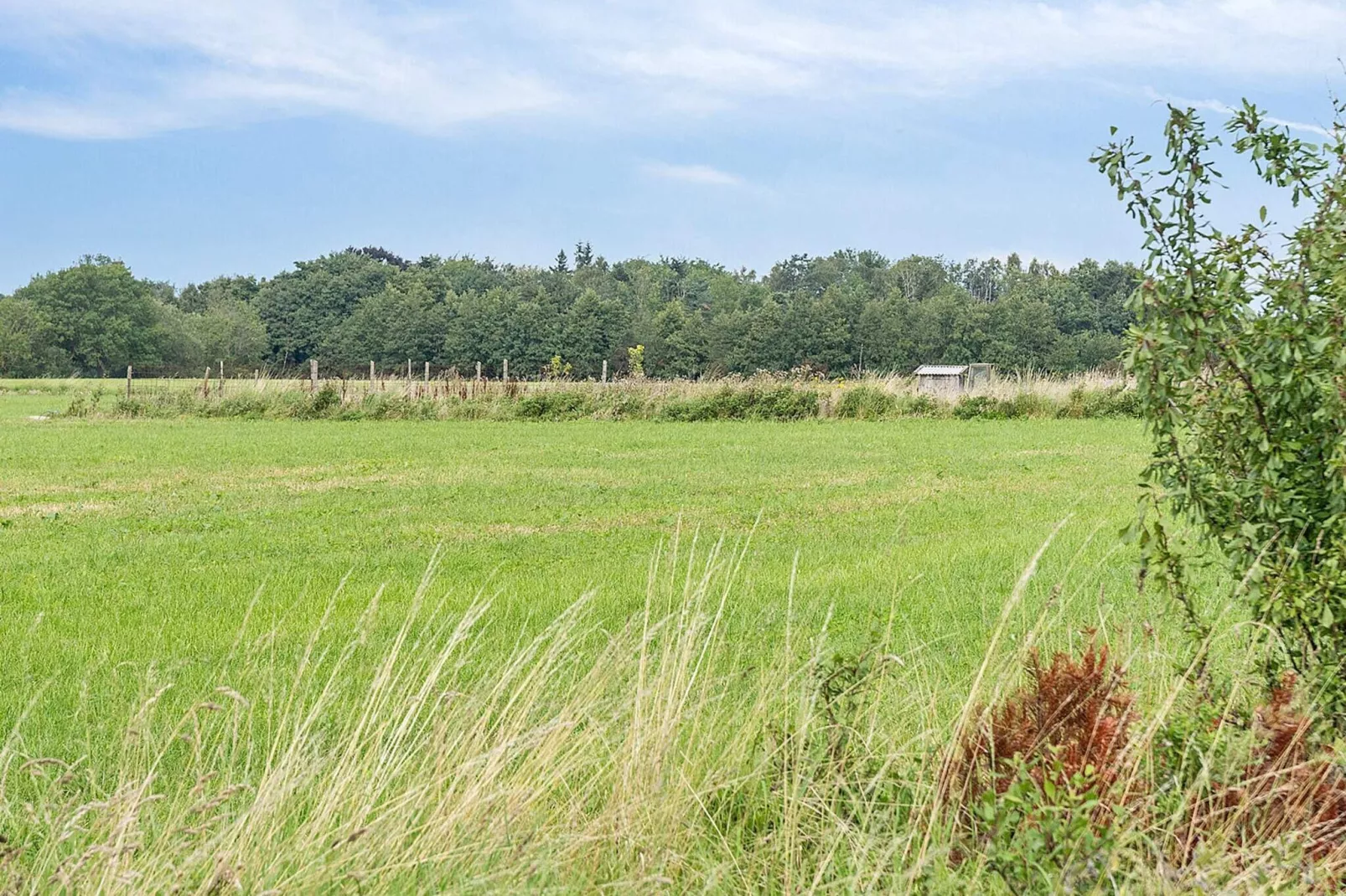 20 persoons vakantie huis in Stege-Uitzicht