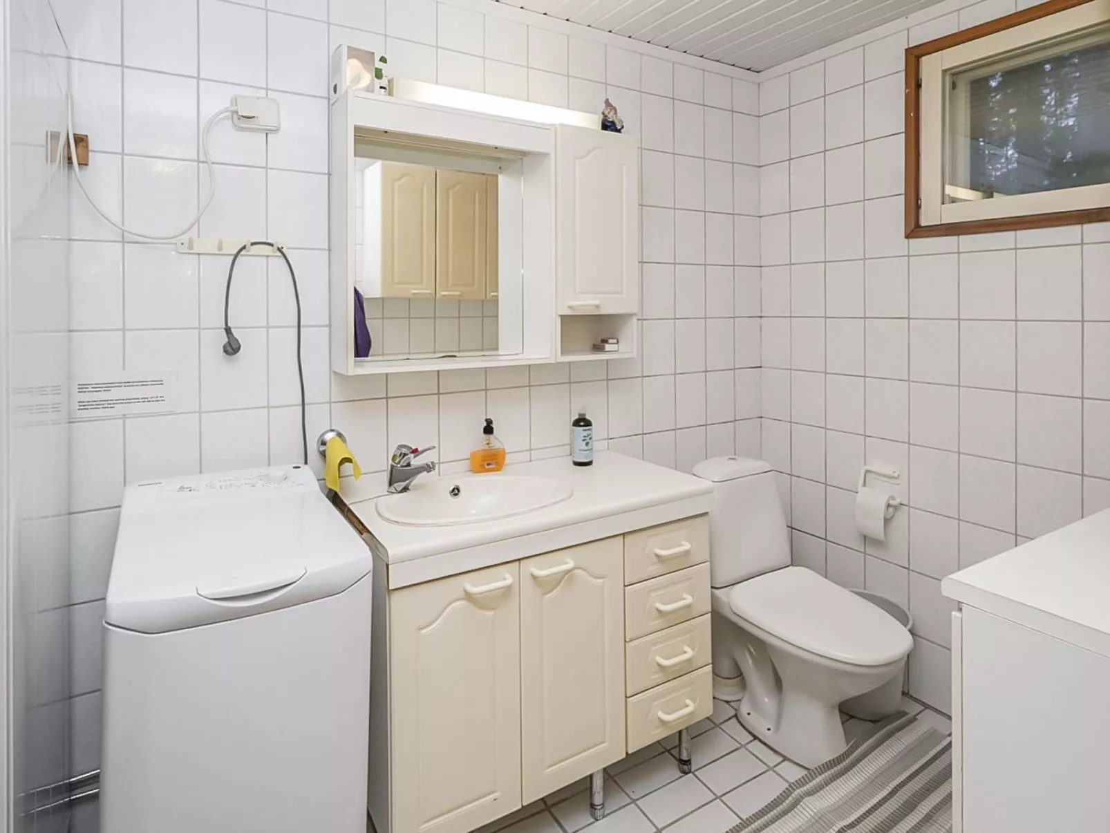 Saapunkijärvi, pitkäperä-Binnen