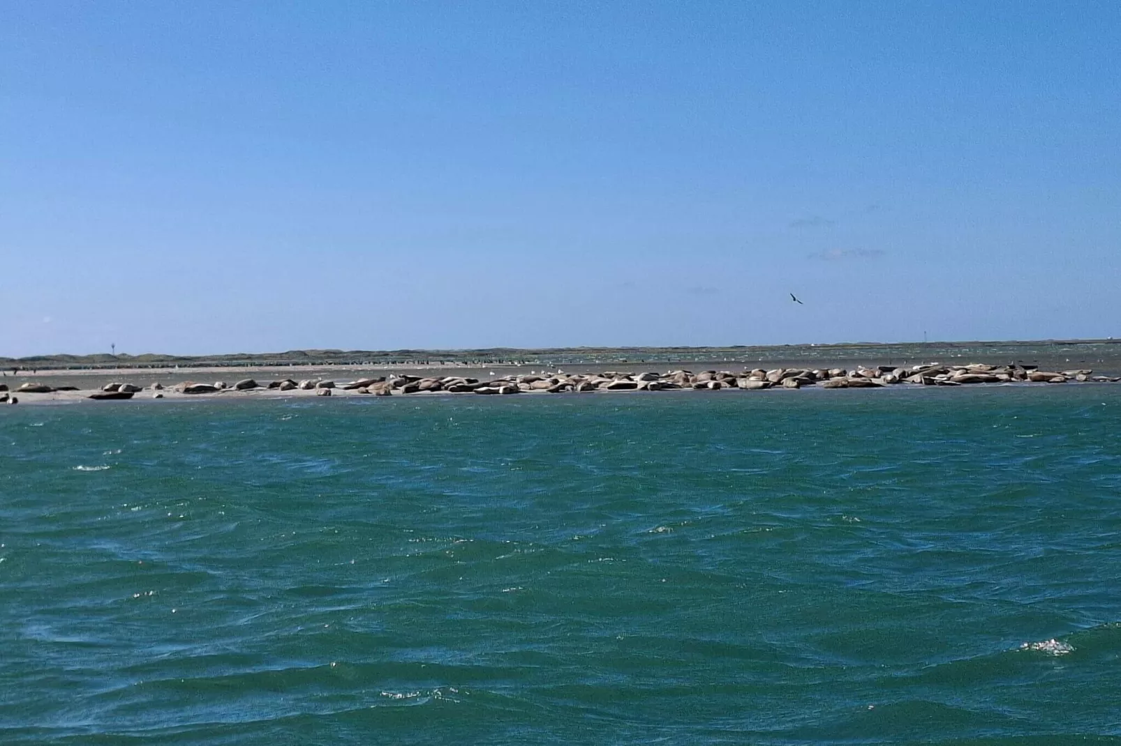 4 sterren vakantie huis in Thyborøn-Waterzicht