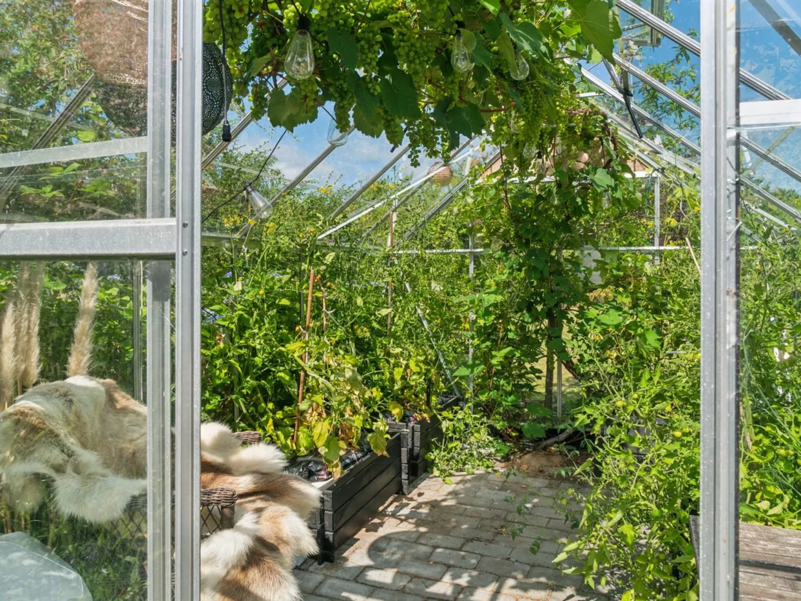 "Botwith" - 125m from the sea-Buiten