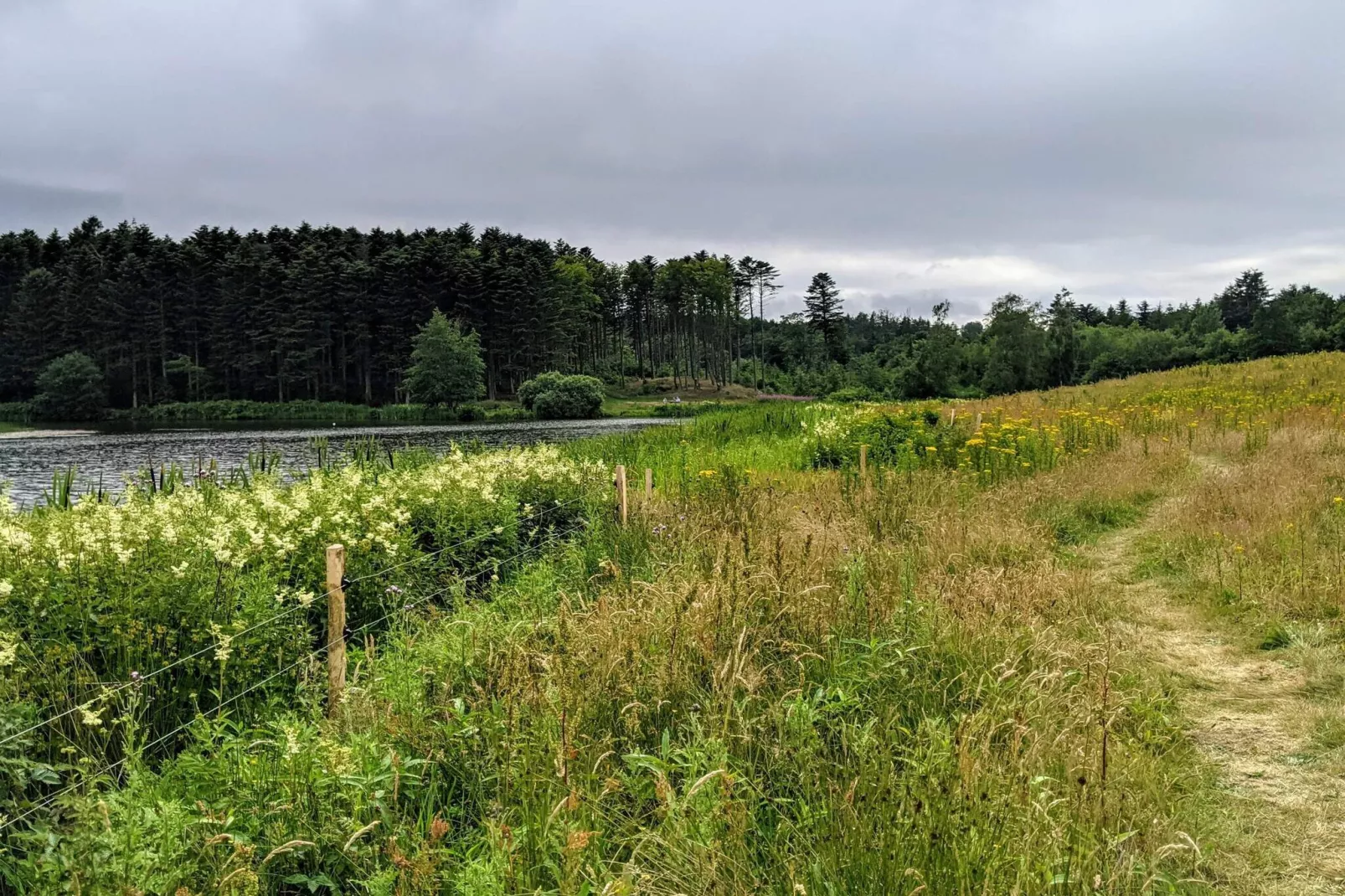 4 sterren vakantie huis in Brønderslev-Niet-getagd