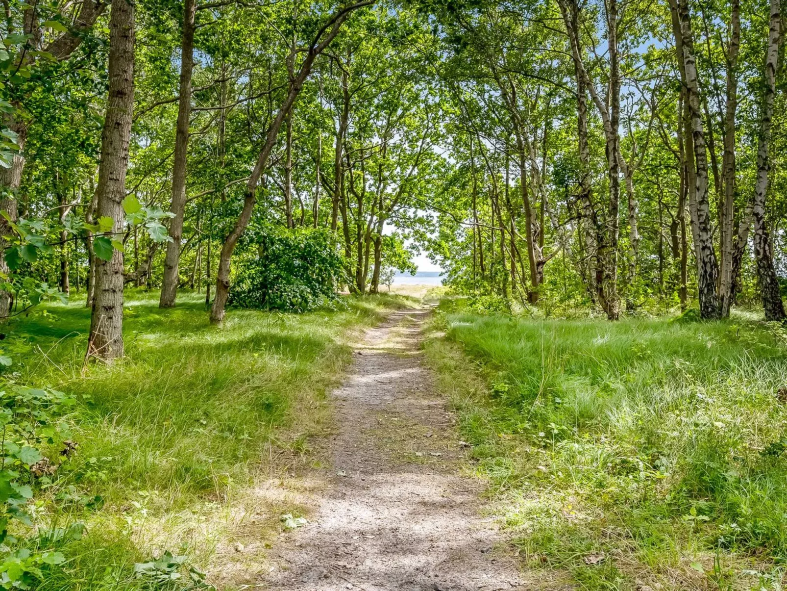 "Jyrki" - 100m from the sea-Buiten