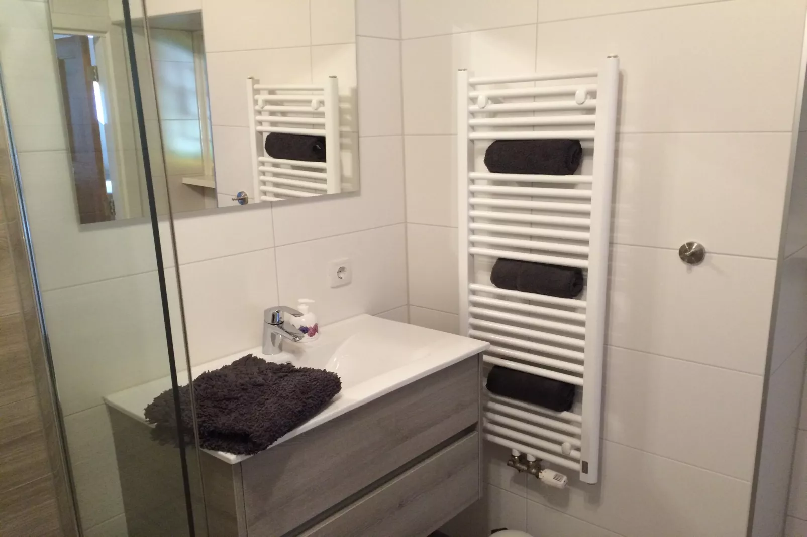 Appartement Boerderij - Badkamer