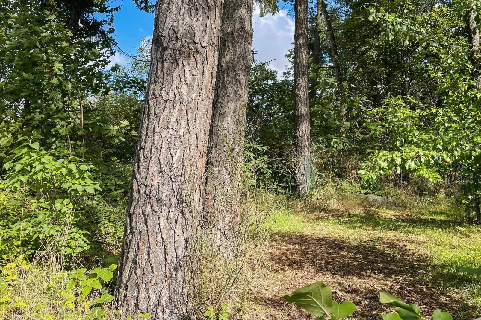 4 Personen vakantie huis in SMEDSTORP