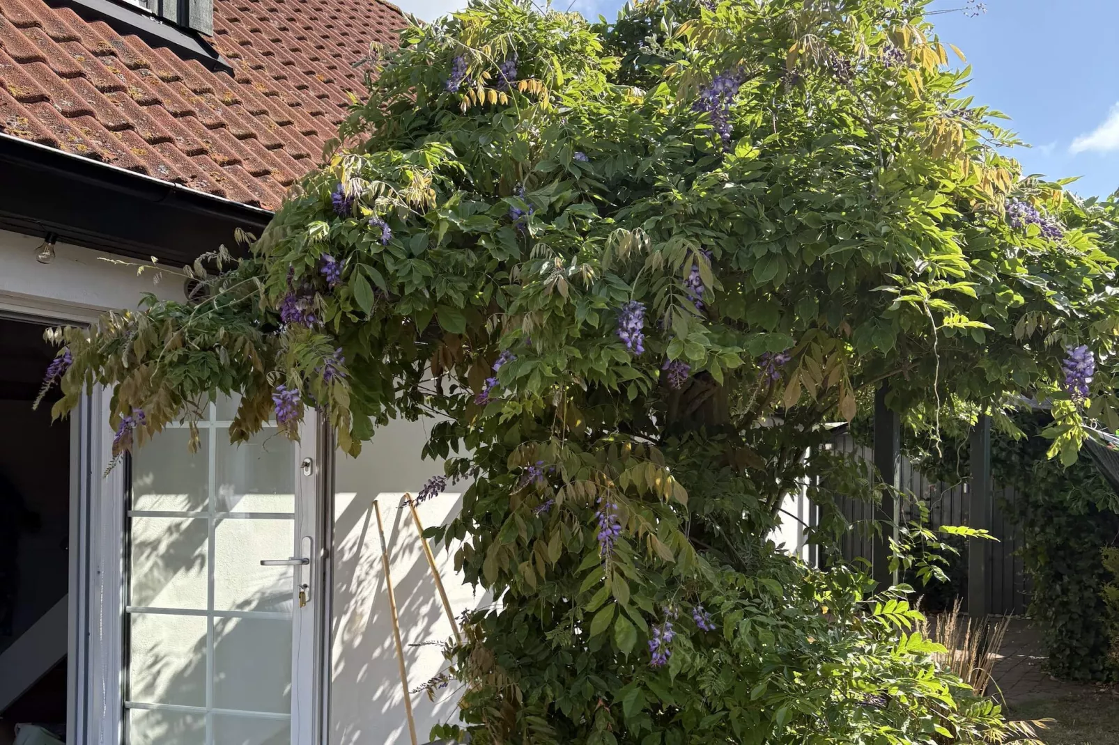 5 sterren vakantie huis in Löderup-Buitenlucht