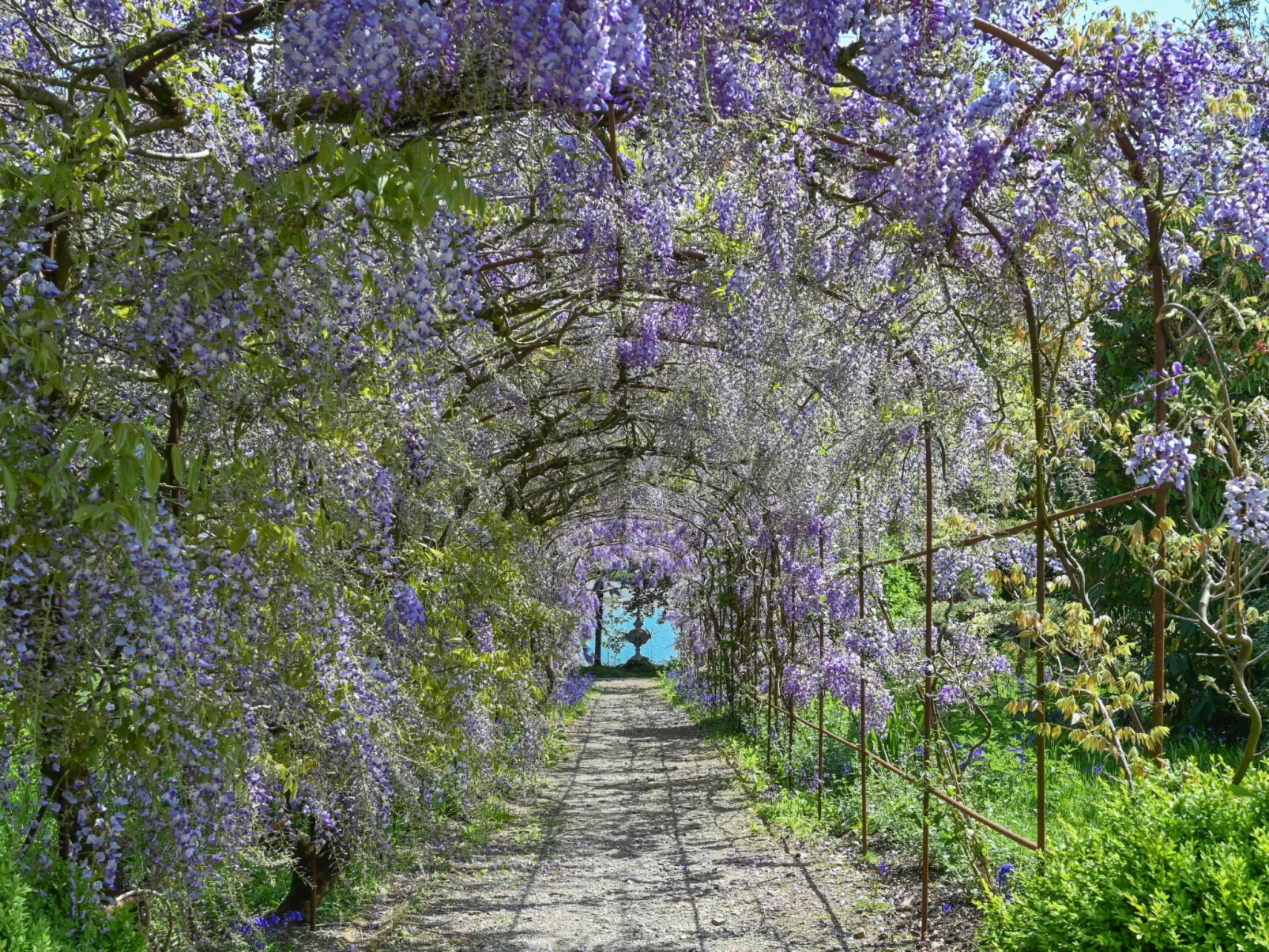 Historic Castle on River Tamar-Buiten