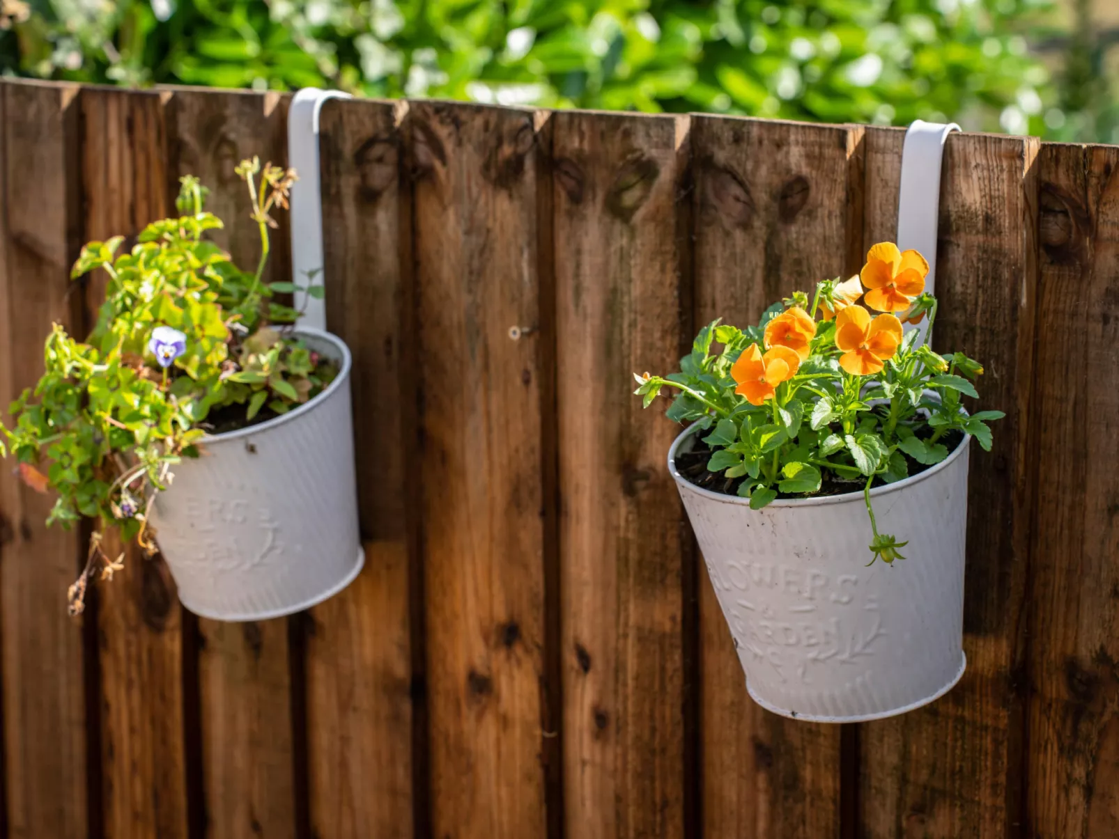 The Annexe at Rosebud Cottage-Buiten