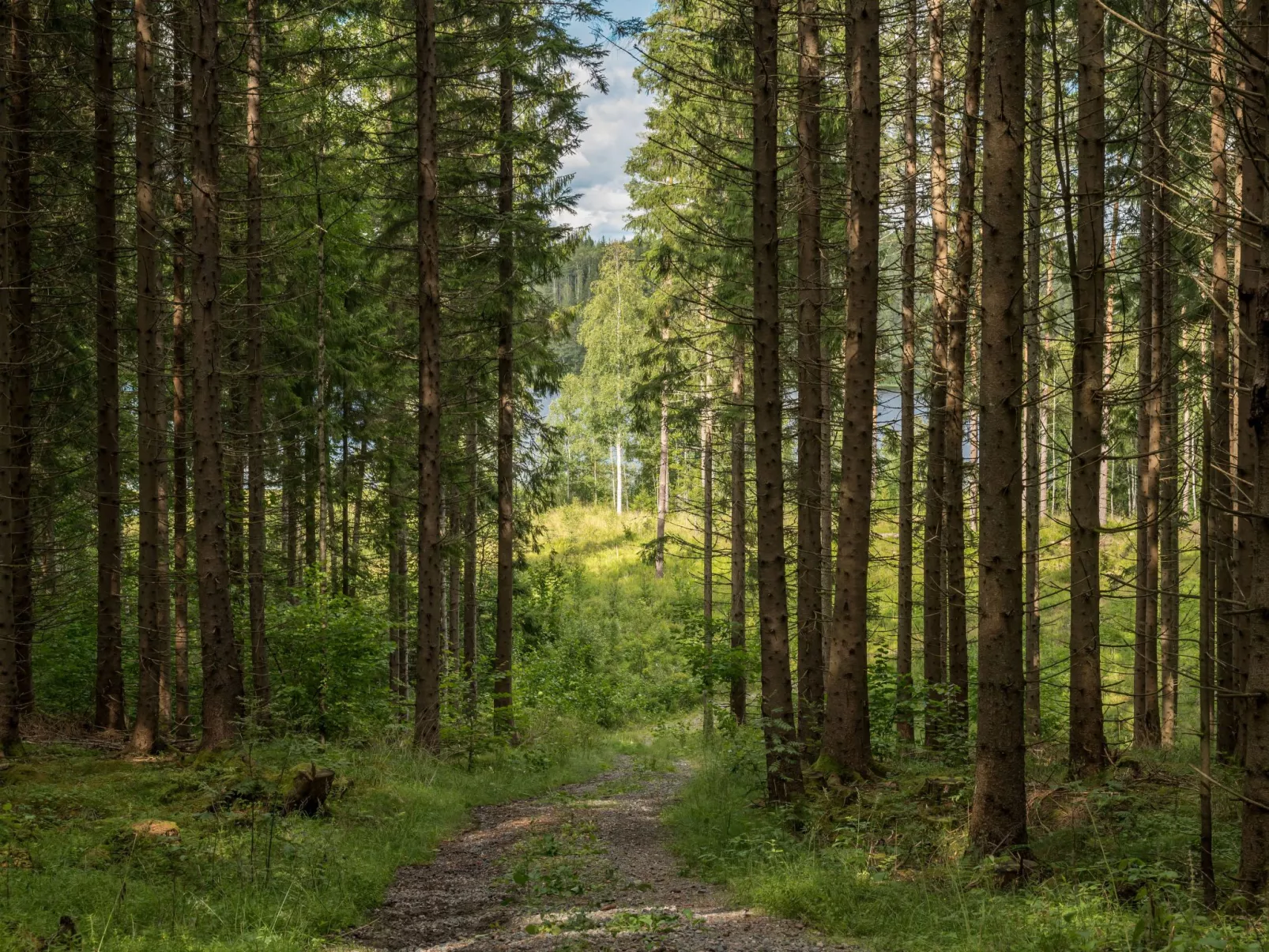 Boda Åsen Jaktstugan-Buiten