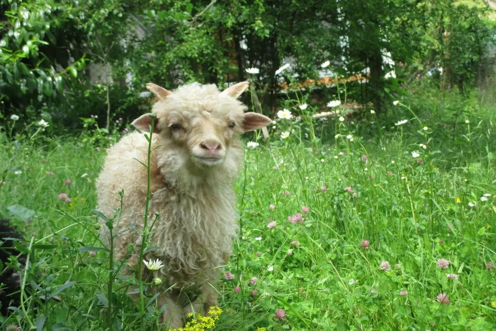 479485 - Niet-getagd