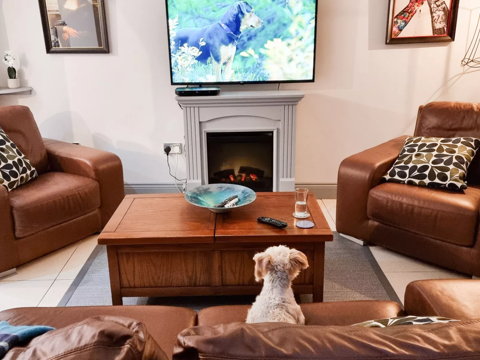 Passage East Holiday Home-Binnen