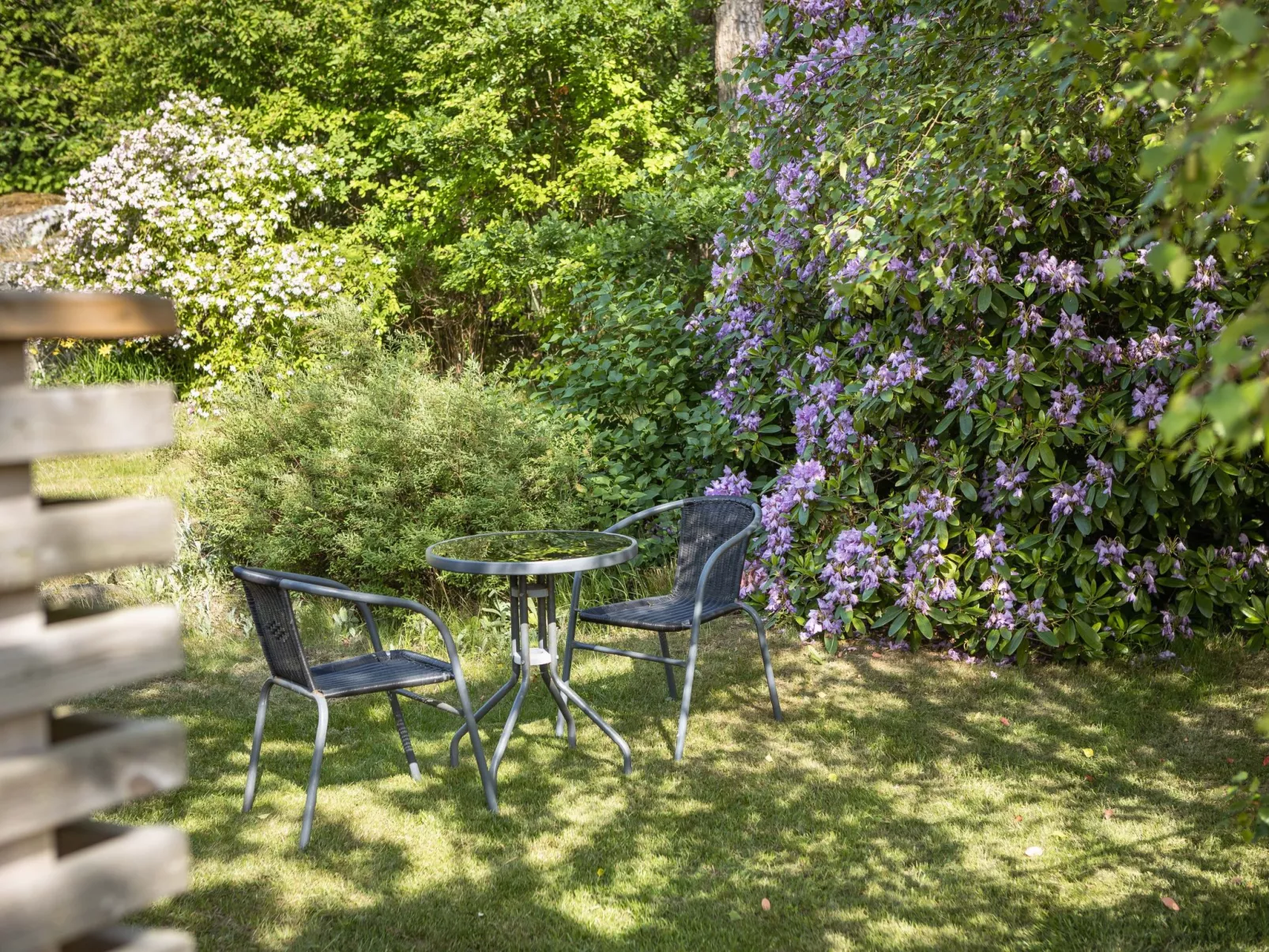Ringsegård Höjden-Buiten