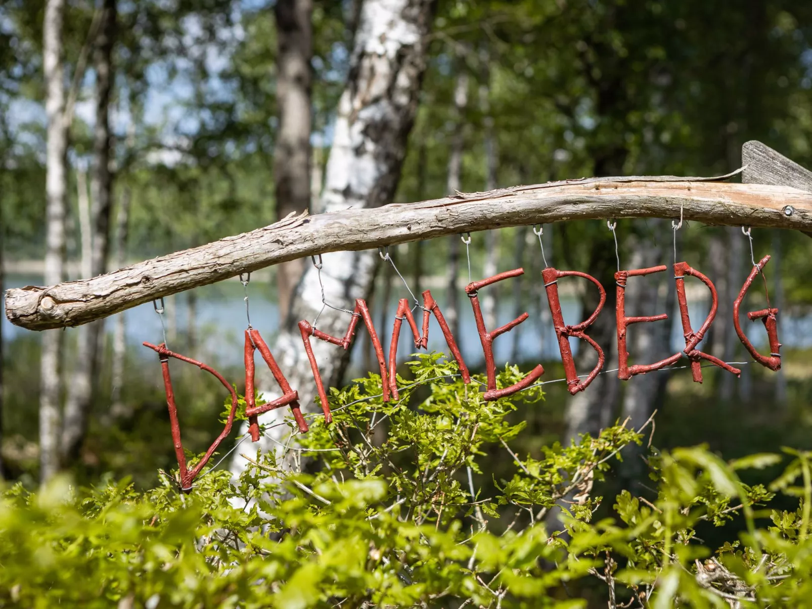 Dammeberg-Buiten
