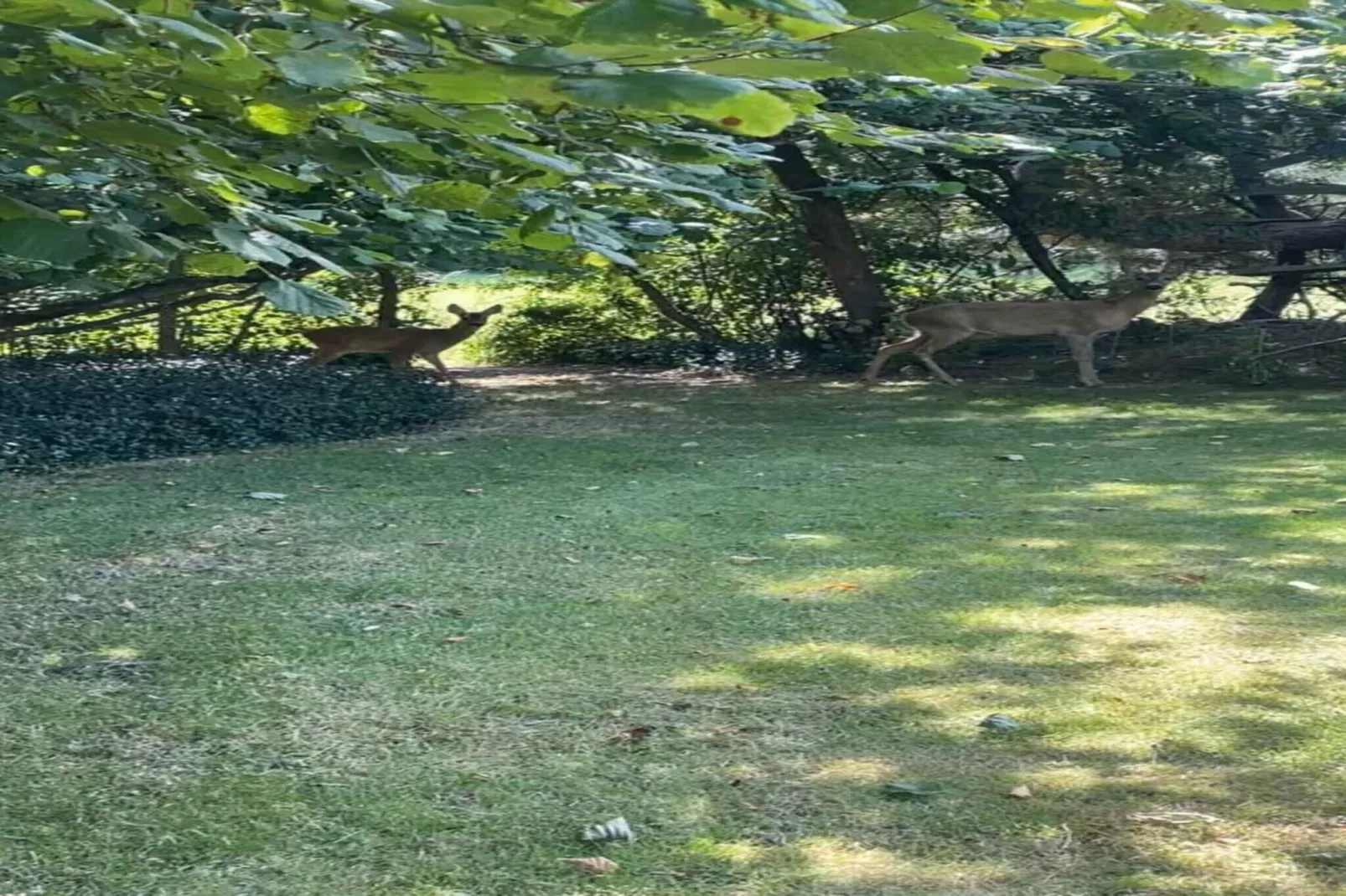 5 sterren vakantie huis in Vordingborg-Niet-getagd