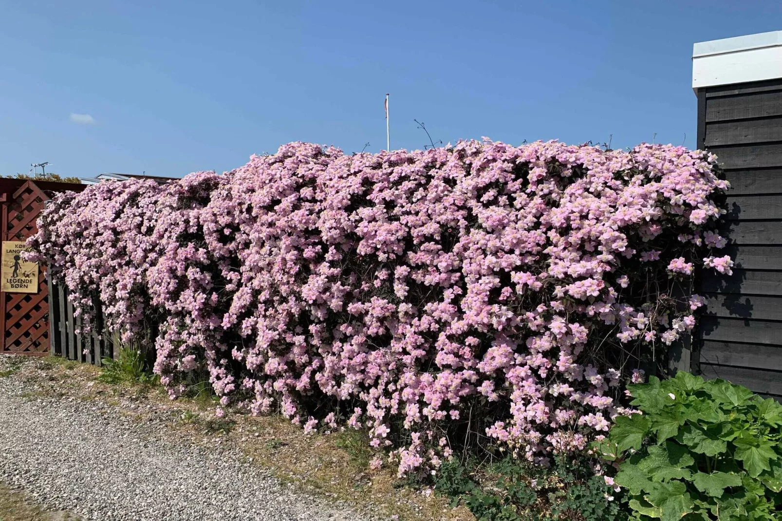 5 sterren vakantie huis in Otterup-Niet-getagd