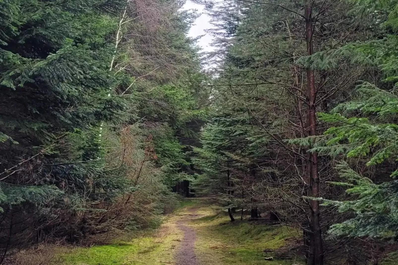 5 sterren vakantie huis in Blokhus-Buitenlucht